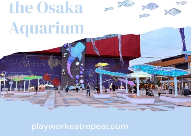 Our Visit to the Osaka Aquarium in Japan